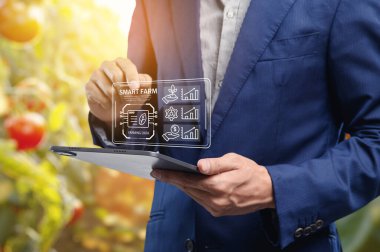 Bir çiftçi, tarım verilerini izlemek, tarımda verimliliği ve sürdürülebilirliği artırmak için modern akıllı tarım teknolojisini tablet üzerinde kullanıyor..