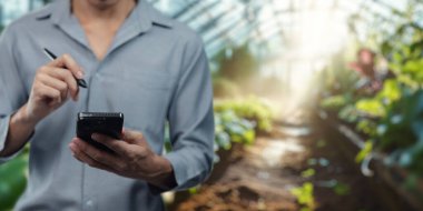 Bir tarım yöneticisi, üretkenliği arttırmak ve canlı bir sera ortamında üretim yönetim sistemlerini geliştirmek için teknolojiden yararlanır..