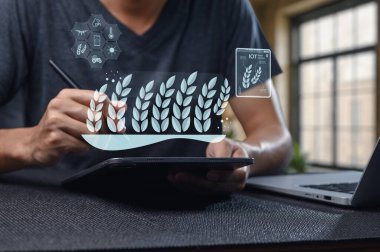 Tarım ve teknolojinin kesişimini gösteren modern bir konsept, IOT ve veri analizleri yoluyla tarım uygulamalarını geliştirmek için bir tablet kullanan bir kişi.