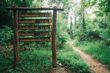 Canlı yeşilliklerden geçen şelalelere giden büyüleyici bir yol keşfet. Bu sakin açık hava ortamında işaretleri takip ederken doğanın tadını çıkarın. Maceracılar için mükemmel..
