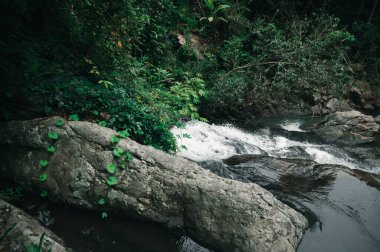 Huzurlu bir şelalenin dingin güzelliğini deneyimleyin kayalık oluşumların üzerinde çağlayan, bereketli yeşilliklerle çevrili huzurlu bir doğal ortam..