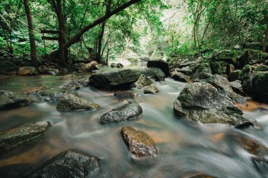 Bereketli yeşil bir ormanın içinde saklı sakin bir şelalenin güzelliğini keşfedin. Bu sakin doğal ortamda kayaların üzerindeki ferahlatıcı su akışını hisset..