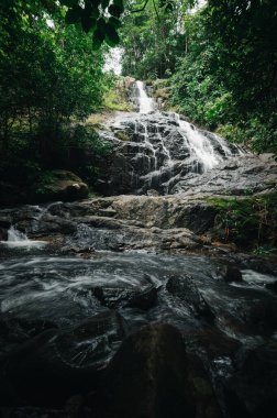 Canlı bir ormanda yuva yapmış, doğanın güzelliğini gösteren sakin bir şelale keşfedin. Bu huzurlu manzara, keşfi ve macerayı bereketli bir ortama davet ediyor..