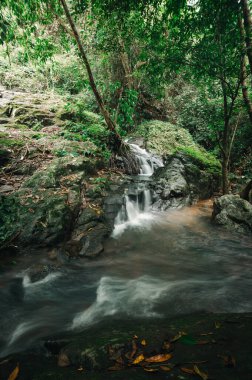 Yeşillik bir ormanda saklı bir şelale keşfetmek, doğanın güzelliğine huzurlu bir kaçış sunar. Doğa aşıkları ve fotoğrafçılar için ideal..
