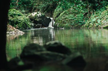 Bereketli yeşillik ve kayalarla çevrili durgun sulara akan güzel bir şelale görüntüsü doğa severler ve açık hava meraklıları için mükemmel..