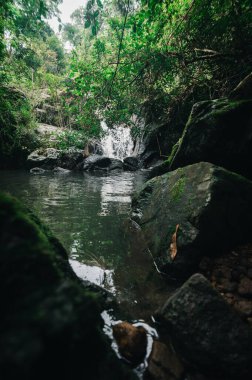 Bereketli yeşilliklerin arasına yerleşmiş sakin bir şelale manzarası keşfedin, doğanın dingin güzelliğini yakalayın. Açık hava ve macera meraklıları için mükemmel..