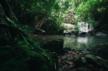 Büyüleyici bir şelale keşfedin. Huzurlu yeşil bir ortamda yuva yapmış, yemyeşil yapraklar ve manzaralı kayalarla çevrili, doğa aşıkları ve maceracılar için mükemmel..
