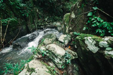 Yoğun bir tropikal ormanda, canlı yapraklar ve engebeli kayalarla çevrili sakin bir şelale keşfedin. Kusursuz bir kaçış..