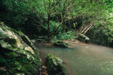 Yoğun yeşillik ve kayalık manzaralarla kaplı huzurlu bir şelale cazibesi keşfedin. Bu dingin nokta rahatlama ve keşif için doğaya mükemmel bir kaçış sağlıyor..