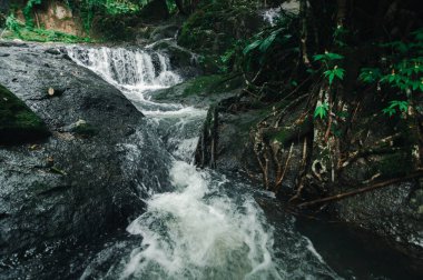 Yeşillikte yuva yapmış sakin bir şelale keşfedin. Doğa aşıkları ve macera arayanlar için mükemmeldir. Bu huzurlu sahne doğal çevrenin güzelliğini yakalar..