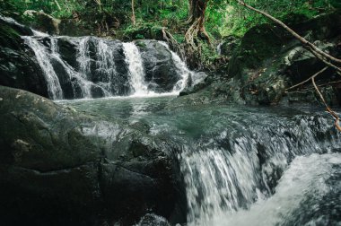 Canlı yeşil bir ormanda yuva yapmış, doğanın dingin güzelliğini gösteren pitoresk bir şelale keşfedin. Açık hava meraklıları ve gezginleri için ideal..