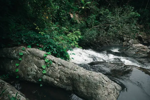 Huzurlu bir şelalenin dingin güzelliğini deneyimleyin kayalık oluşumların üzerinde çağlayan, bereketli yeşilliklerle çevrili huzurlu bir doğal ortam..