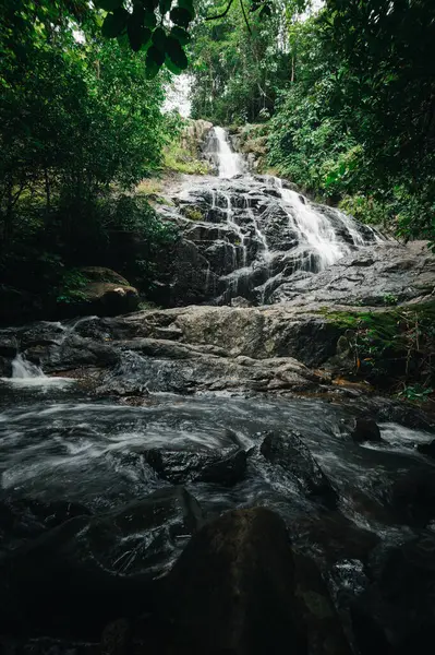 Canlı bir ormanda yuva yapmış, doğanın güzelliğini gösteren sakin bir şelale keşfedin. Bu huzurlu manzara, keşfi ve macerayı bereketli bir ortama davet ediyor..
