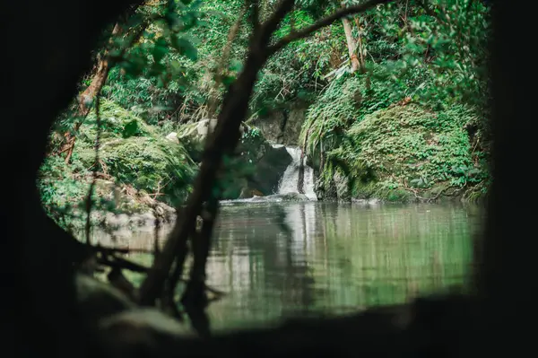 Yeşillik içinde saklı bir şelalenin dingin güzelliğini deneyimleyin. Bu sakin sahne, keşfi ve rahatlamayı doğal bir ortama davet ediyor..