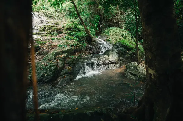 Serin bir şelale keşfedin yemyeşil bir alanda akan, doğal aşıklar için mükemmel dinginlik ve macera arayan canlı bir tropikal manzara.