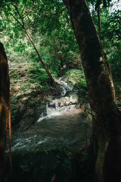 Yumuşak suyun kayaların üzerinden aktığı canlı yeşil bir ormanda yuva yapmış huzurlu bir şelale keşfedin. Doğanın güzelliğine huzurlu bir kaçış yaratın..