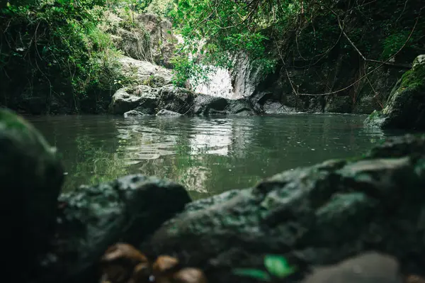 Bereketli yeşillikte yuva yapmış sakin bir şelalenin barışçıl cazibesini keşfedin. Doğal güzellik ve sakin sularla çevrili sakin bir kaçış önerin..