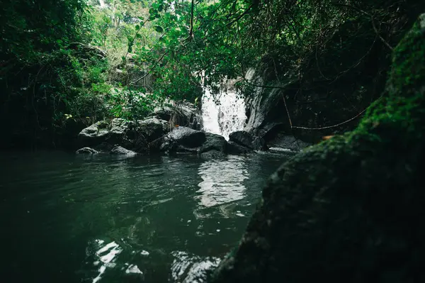 Canlı yeşil bir ormanın içine yerleştirilmiş sakin bir şelale keşfedin. Bu resim sahnesinde düz kayalar üzerinde sakin su yansımaları, doğada keşifler ve maceralar yaşanır..