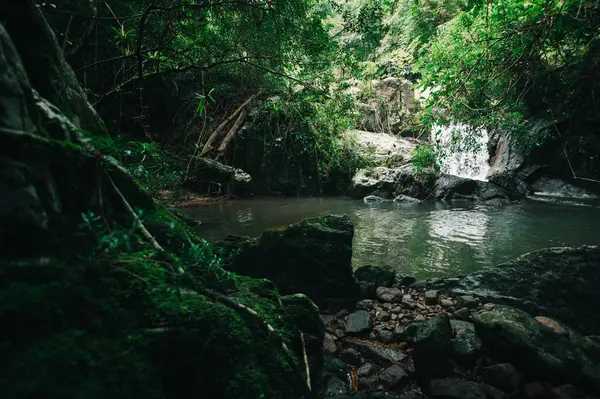 Büyüleyici bir şelale keşfedin. Huzurlu yeşil bir ortamda yuva yapmış, yemyeşil yapraklar ve manzaralı kayalarla çevrili, doğa aşıkları ve maceracılar için mükemmel..