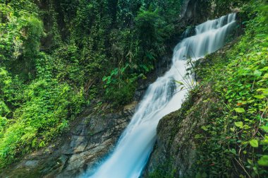 Chiang Mai 'deki Huai Kaew Şelalesi' nin güzelliğini hissedin. Nazik akarsuların canlı yeşilliklerden aktığı ve doğada huzurlu bir kaçış yarattığı yer..