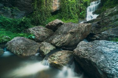 Tayland, Chiang Mai 'de Huai Kaew Şelalesi' nin huzurlu güzelliğini tecrübe edin. Bereketli yeşillik ve akan suyla çevrili bu sakin doğal ortam, keşfi ve rahatlamayı davet ediyor..
