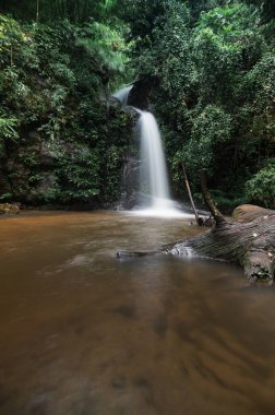 Chiang Mai, Tayland 'da yemyeşil bir ormanda yuva yapmış sakin bir şelale keşfedin. Burası huzur ve güzellik arayan doğa aşıkları için mükemmel bir kaçış yeri..