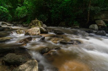 Chiang Mai 'de yemyeşil bir şelalenin huzurlu güzelliğini keşfedin. Huzur ve macera arayan doğa aşıkları için mükemmel..