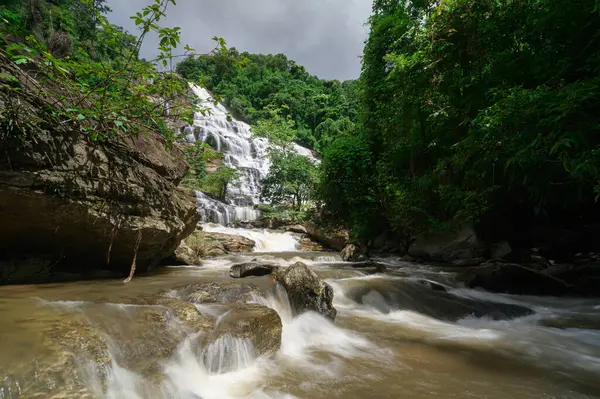  Chiang Mai 'deki Pha Dok Siew Şelalesi yakınlarındaki yeşillik.,