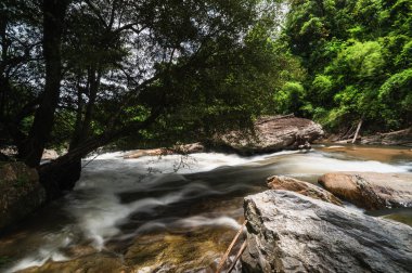 Chiang Mai, Tayland 'daki Mae Klang Şelalesinin güzelliğini keşfedin. Bu sakin konumda, macera ve rahatlama arayan turistler için ideal, akan sular, yemyeşil alanlar ve kayalık manzaralar yer alıyor..