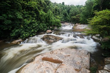 Chiang Mai 'deki Klang Şelalesi' nin dingin güzelliğini keşfedin. Dalgalanan sular, canlı yeşillikler arasında akar ve doğa severler için sakin bir kaçış yaratır..