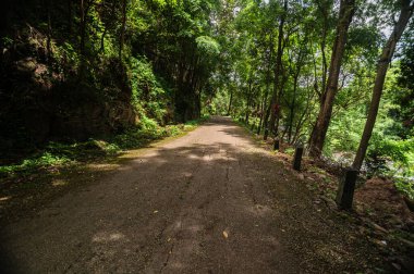 Klang Şelalesi yakınlarındaki canlı yeşillikler tarafından kucaklanan pitoresk bir yol keşfedin. Doğal aşıkları ve turistleri Tayland 'ın dingin güzelliğini keşfetmeye davet edin..