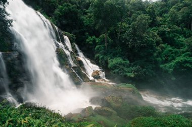  Chiang Mai 'deki Pha Dok Siew Şelalesi yakınlarındaki yeşillik.,