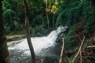 Chiang Mai ormanlarındaki Pha Dok Siew Şelalesinin güzelliğini keşfedin. Bu dingin açık havada akan su ve canlı yeşillik, doğa meraklıları için idealdir..