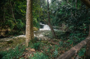 Chiang Mai 'deki Pha Dok Siew Şelalesi' nin güzelliğini keşfedin, doğaya huzurlu bir kaçış. Yeşilliğin ve suyun huzurlu akışının tadını çıkarın. Doğa aşıkları için mükemmel..