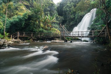 Chiang Mai 'deki büyüleyici Pha Dok Siew Şelalesi' ni keşfedin. Yeşillik ve dingin doğayla çevrili gizli bir mücevher. Huzurlu manzaranın ve canlı bir atmosferin tadını çıkar..
