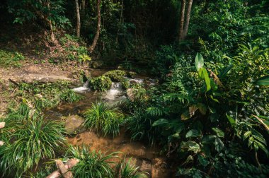 Chiang Mai 'deki Pha Dok Siew Şelalesi' nin dingin güzelliğini keşfedin. Yeşillik yumuşak bir akıntıyla buluşur ve doğa aşıkları için mükemmel bir dinlenme yeri oluşturur..