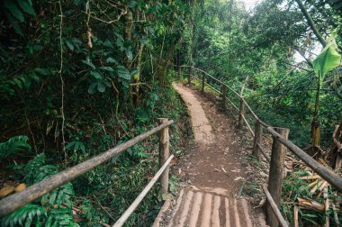 Yeşillikten geçerek Chiang Mai 'deki güzel Pha Dok Siew Şelalesine uzanan sakin bir patikayı keşfedin. Doğa aşıkları ve maceracılar için mükemmeldir..