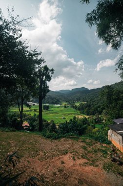 Tayland, Chiang Mai 'deki Pha Dok Siew Şelalesi' nin dingin güzelliğini deneyimleyin, yemyeşil ve görkemli tepelerle çevrili. Kusursuz bir kaçış..