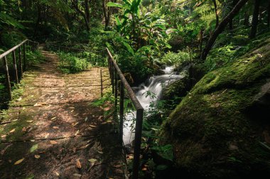 Chiang Mai, Tayland 'da verimli ormanlarla çevrili sakin bir şelale keşfedin. Bu sakin sahne doğanın güzelliğini yakalar, keşif ve rahatlamaya davetiye çıkarır..