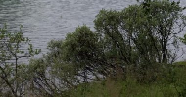 Norveç 'te yaz. Innerdalen Vadisi, Innerdalsvatna Gölü ve Innerdalstrnet Dağı.