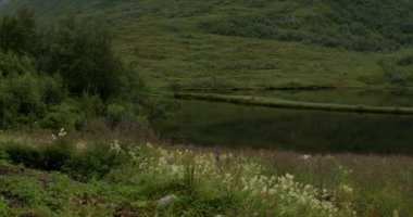 Norveç 'te yaz. Innerdalen Vadisi, Innerdalsvatna Gölü ve Innerdalstrnet Dağı.