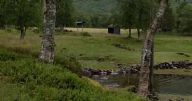 Norveç 'te yaz. Çimen çatılı kerestelerden ve taşlardan yapılmış eski evler. Seçici odak