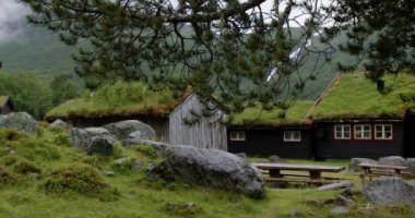 Norveç 'te yaz. Çimen çatılı kerestelerden ve taşlardan yapılmış eski evler. Seçici odak