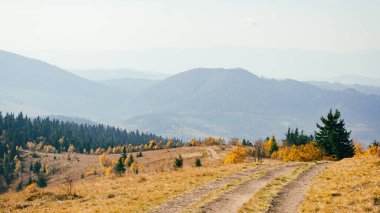 Panoramic landscape of hills of a smoky mountain range covered in white misty fog and deciduous forest on fall day in October. Carpathians, Ukraine. Horizontal wallpaper.