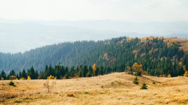 Panoramic landscape of hills of a smoky mountain range covered in white misty fog and deciduous forest on fall day in October. Carpathians, Ukraine. Horizontal wallpaper.