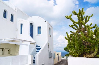 Santorini Adası, Yunanistan 'da beyaz mimari. Deniz manzaralı ve bulutlu mavi gökyüzü olan güzel bir manzara. Binanın yakınındaki çömlekte yeşil fabrika.