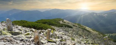 Yeşil yaz dağlarında başıboş. Canlı bir duvar kâğıdı. Dünya konseptinin sakin güzelliği. Boşluk duvar kağıdını kopyala.