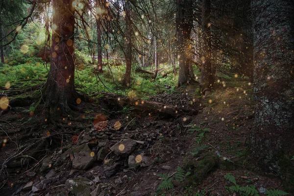 Kouzelné Fantasy Tapety Kmenů Stromů Zelené Kapradí Mech Lesklé Zářící — Stock fotografie