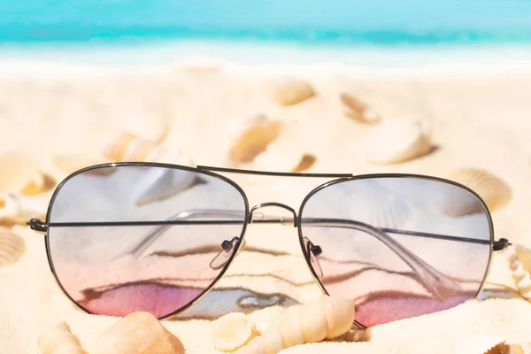 Fialové Růžové Gradient Barva Slunečních Brýlí Pláži Spousta Mušlí Čistém — Stock fotografie