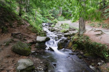 Nehir manzarası ve yeşil yaz ormanlarında gizlenmiş şelale şelalesi. Güzel su akıntısı. Doğal manzara duvar kâğıdı.